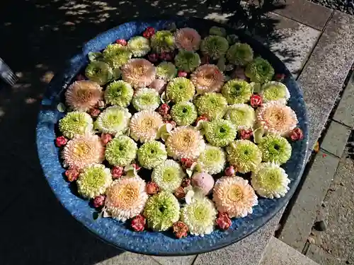 行田八幡神社の手水