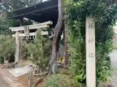 縣神社の鳥居