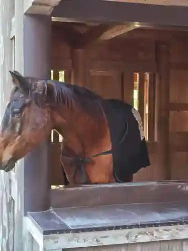 伊勢神宮内宮（皇大神宮）(三重県)