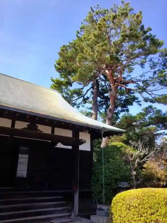 華徳院(東京都)