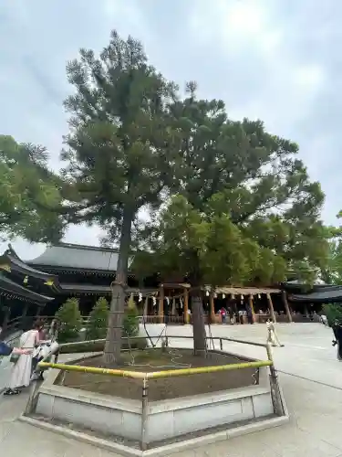寒川神社(神奈川県)
