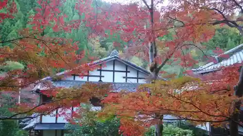 吟松寺の自然