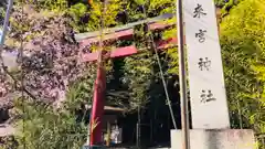 來宮神社(静岡県)