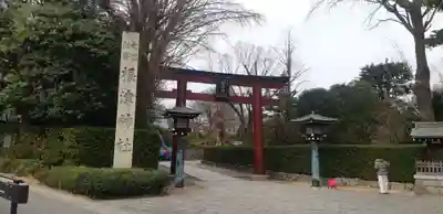 根津神社の鳥居