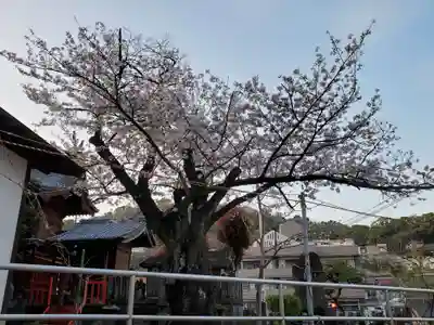 春日神社の自然