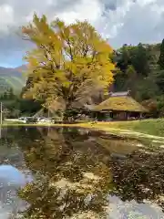 金言寺の建物その他