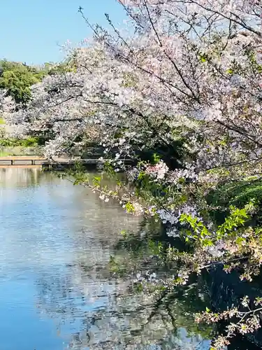 旗上弁財天社の自然