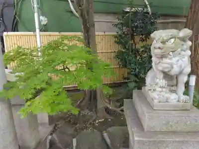 銀杏岡八幡神社(東京都)