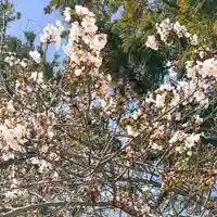 伊勢の国 四天王寺(三重県)