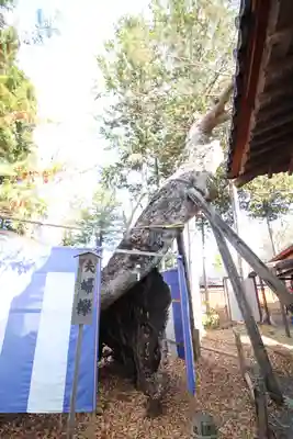 生島足島神社(長野県)