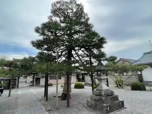 光延寺の{uncategorized: "未分類", other: "その他", undefined: "問題あり", building: "その他建物", grave: "お墓", sacred_gate: "鳥居", guardian: "狛犬", statue: "像", buddha: "仏像", history: "歴史", nature: "自然", garden: "庭園", animal: "動物", pagoda: "塔", temizu: "手水舎", mountain_gate: "山門・神門", sanctuary: "本殿・本堂", subordinate: "末社・摂社", art: "芸術", scenery: "景色", jizo: "地蔵", ema: "絵馬", goshuin: "御朱印", omikuji: "おみくじ", items: "授与品その他", amulet: "お守り", goshuincho: "御朱印帳", eats: "食事", festival: "お祭り", votive_dance: "神楽", shichigosan: "七五三参", wedding: "結婚式", experience: "体験その他", initially: "初詣", around: "周辺", anti_infection: "感染症対策"}