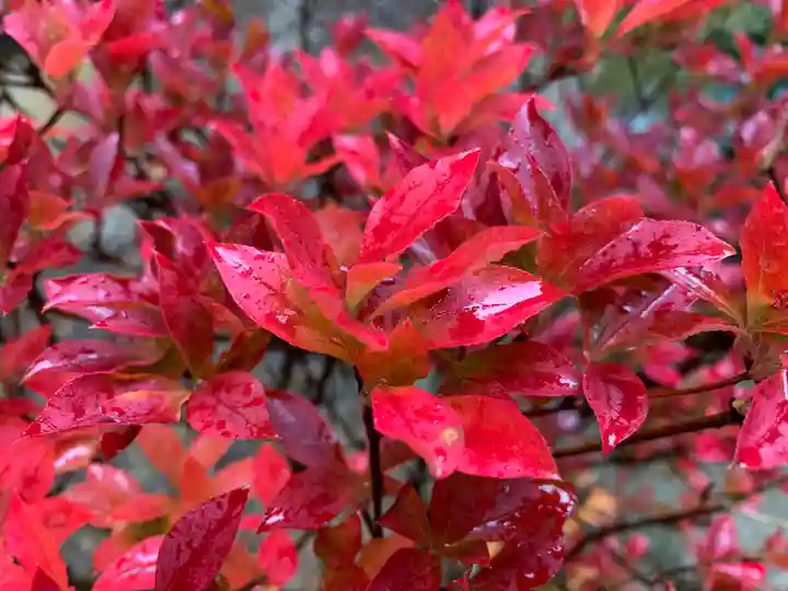 滑川神社 - 仕事と子どもの守り神の自然