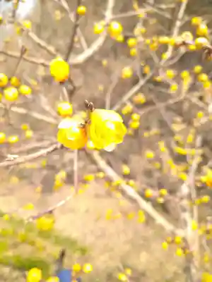 神前神社の自然