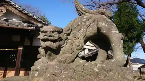 赤烏神社の狛犬