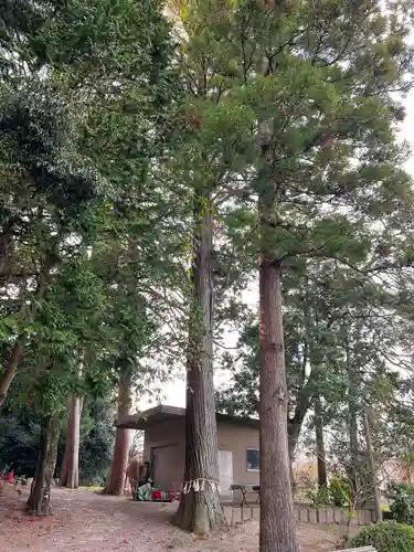 立志神社の自然