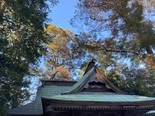 息栖神社の本殿