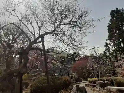 地蔵院(東京都)