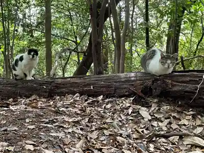 石手寺(愛媛県)