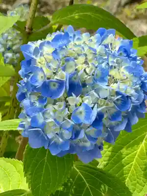 勧修寺(京都府)