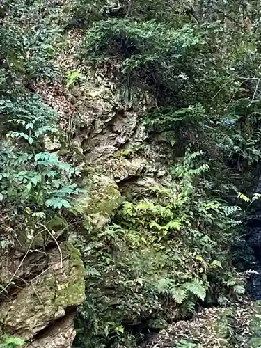 松尾大社(京都府)