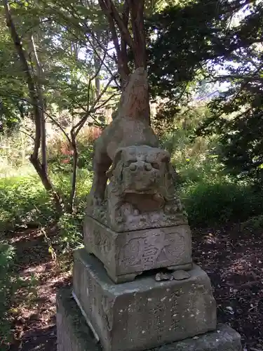 住吉神社の狛犬