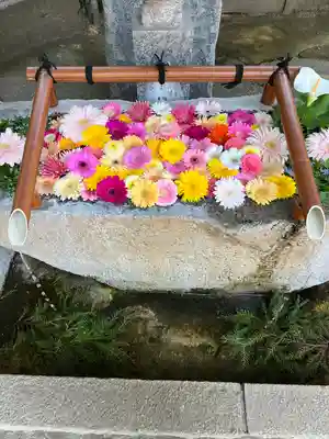 田間神社(千葉県)