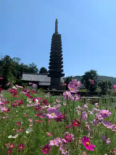 般若寺 ❁﻿コスモス寺❁の塔