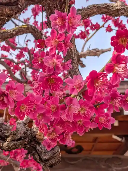 鳳林寺(東京都)