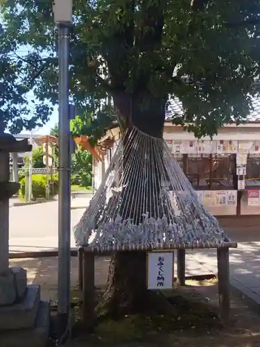 吉祥院天満宮のおみくじ