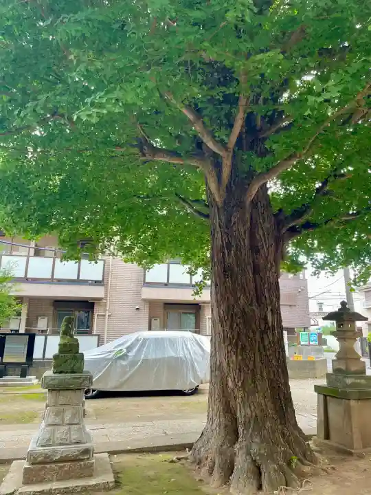 成田山不動大教会(東京都)