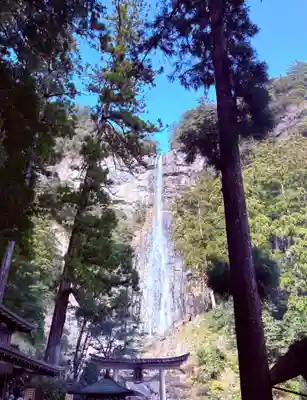 飛瀧神社(熊野那智大社別宮)(和歌山県)