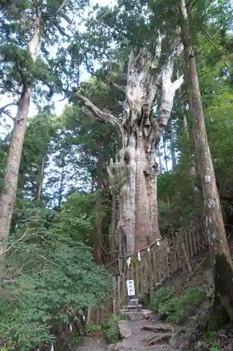 玉置神社のその他建物