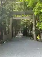 椿大神社の{uncategorized: "未分類", other: "その他", undefined: "問題あり", building: "その他建物", grave: "お墓", sacred_gate: "鳥居", guardian: "狛犬", statue: "像", buddha: "仏像", history: "歴史", nature: "自然", garden: "庭園", animal: "動物", pagoda: "塔", temizu: "手水舎", mountain_gate: "山門・神門", sanctuary: "本殿・本堂", subordinate: "末社・摂社", art: "芸術", scenery: "景色", jizo: "地蔵", ema: "絵馬", goshuin: "御朱印", omikuji: "おみくじ", items: "授与品その他", amulet: "お守り", goshuincho: "御朱印帳", eats: "食事", festival: "お祭り", votive_dance: "神楽", shichigosan: "七五三参", wedding: "結婚式", experience: "体験その他", initially: "初詣", around: "周辺", anti_infection: "感染症対策"}