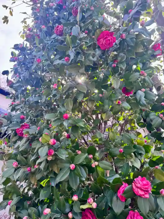 長建寺の{uncategorized: "未分類", other: "その他", undefined: "問題あり", building: "その他建物", grave: "お墓", sacred_gate: "鳥居", guardian: "狛犬", statue: "像", buddha: "仏像", history: "歴史", nature: "自然", garden: "庭園", animal: "動物", pagoda: "塔", temizu: "手水舎", mountain_gate: "山門・神門", sanctuary: "本殿・本堂", subordinate: "末社・摂社", art: "芸術", scenery: "景色", jizo: "地蔵", ema: "絵馬", goshuin: "御朱印", omikuji: "おみくじ", items: "授与品その他", amulet: "お守り", goshuincho: "御朱印帳", eats: "食事", festival: "お祭り", votive_dance: "神楽", shichigosan: "七五三参", wedding: "結婚式", experience: "体験その他", initially: "初詣", around: "周辺", anti_infection: "感染症対策"}