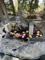 所澤神明社(埼玉県)