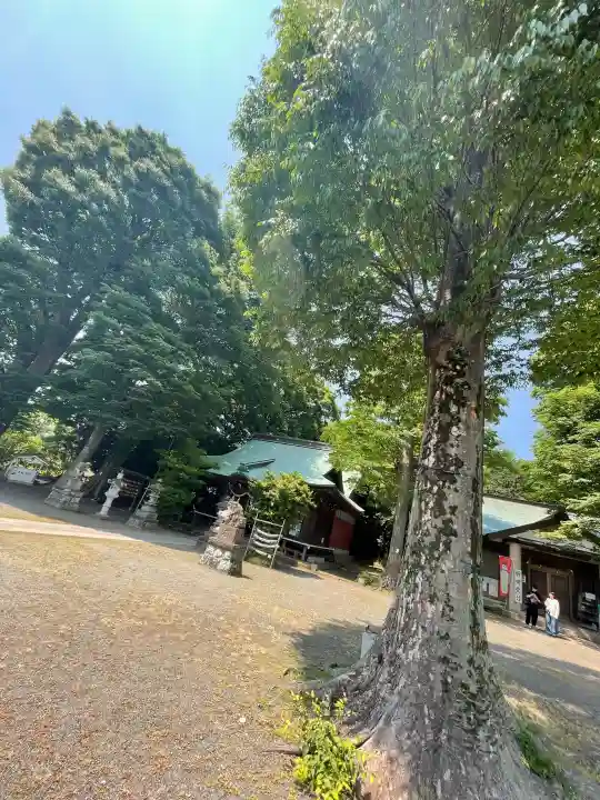 有鹿神社の{uncategorized: "未分類", other: "その他", undefined: "問題あり", building: "その他建物", grave: "お墓", sacred_gate: "鳥居", guardian: "狛犬", statue: "像", buddha: "仏像", history: "歴史", nature: "自然", garden: "庭園", animal: "動物", pagoda: "塔", temizu: "手水舎", mountain_gate: "山門・神門", sanctuary: "本殿・本堂", subordinate: "末社・摂社", art: "芸術", scenery: "景色", jizo: "地蔵", ema: "絵馬", goshuin: "御朱印", omikuji: "おみくじ", items: "授与品その他", amulet: "お守り", goshuincho: "御朱印帳", eats: "食事", festival: "お祭り", votive_dance: "神楽", shichigosan: "七五三参", wedding: "結婚式", experience: "体験その他", initially: "初詣", around: "周辺", anti_infection: "感染症対策"}