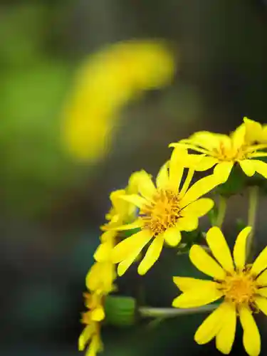 浄土寺(兵庫県)