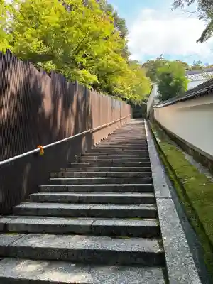 知恩院(京都府)