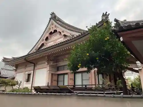 西光寺(京都府)