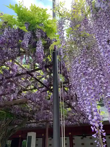 笠間稲荷神社の庭園