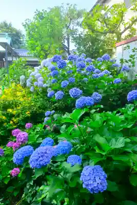 本郷氷川神社(東京都)