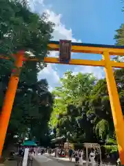 川越氷川神社の鳥居