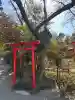 冠稲荷神社の{uncategorized: "未分類", other: "その他", undefined: "問題あり", building: "その他建物", grave: "お墓", sacred_gate: "鳥居", guardian: "狛犬", statue: "像", buddha: "仏像", history: "歴史", nature: "自然", garden: "庭園", animal: "動物", pagoda: "塔", temizu: "手水舎", mountain_gate: "山門・神門", sanctuary: "本殿・本堂", subordinate: "末社・摂社", art: "芸術", scenery: "景色", jizo: "地蔵", ema: "絵馬", goshuin: "御朱印", omikuji: "おみくじ", items: "授与品その他", amulet: "お守り", goshuincho: "御朱印帳", eats: "食事", festival: "お祭り", votive_dance: "神楽", shichigosan: "七五三参", wedding: "結婚式", experience: "体験その他", initially: "初詣", around: "周辺", anti_infection: "感染症対策"}