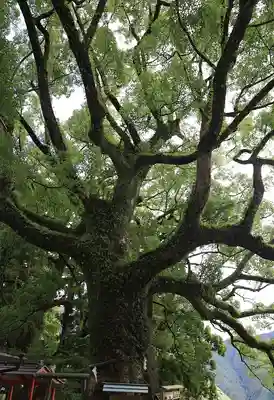 熊野那智大社(和歌山県)