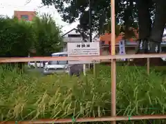 鎮守氷川神社の建物その他