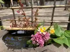 新琴似神社(北海道)