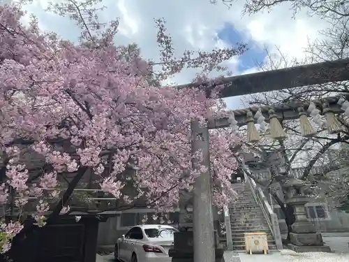 元三島神社(東京都)