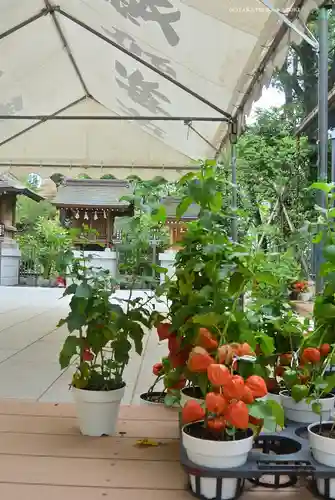 愛宕神社の庭園