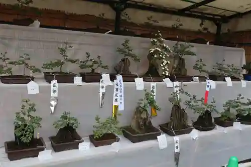 高麗神社(埼玉県)