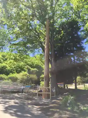 諏訪大社上社前宮のその他建物